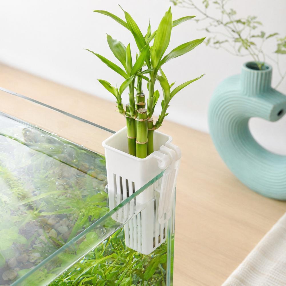 Aquarium Planted Wall - Maceta para Plantas Acuáticas, Contenedor Hidropónico,