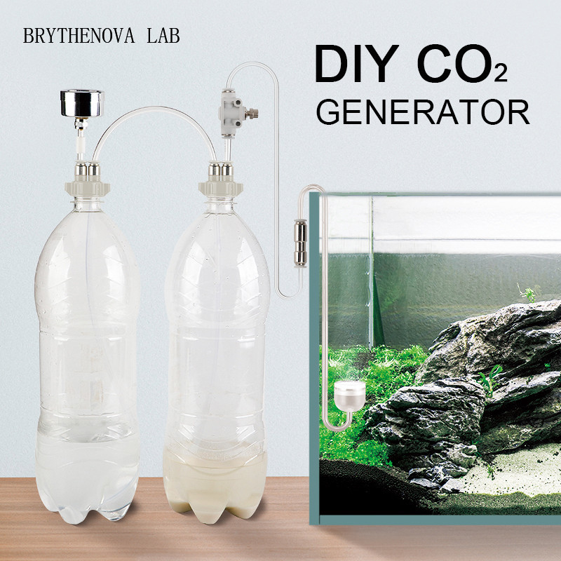 Planted Aquarium Moss - Generador de CO2 para Acuarios Plantados,