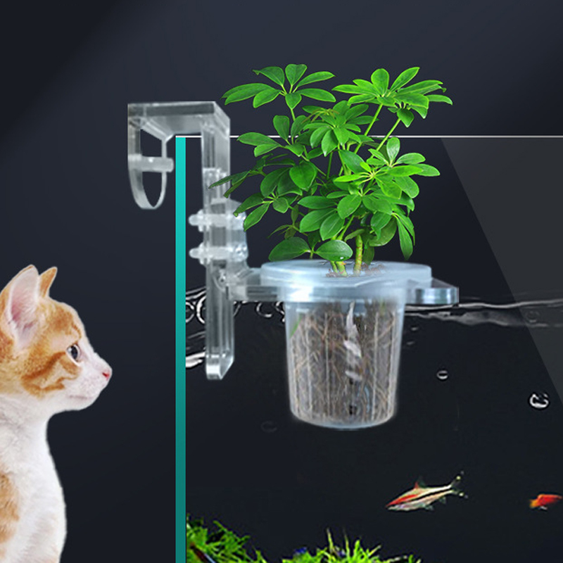 Aquarium Planted Wall - Tazas para plantar pecera, cesta de