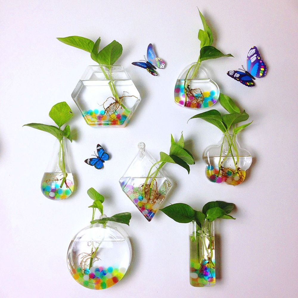 Aquarium Planted Wall - Florero colgante de pared con forma