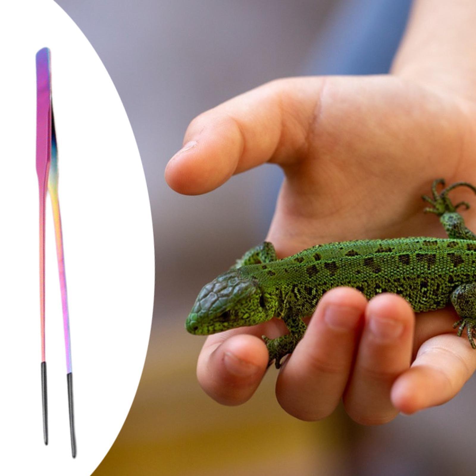 Planted Aquarium Tips - Pinzas para Alimentación de Reptiles con