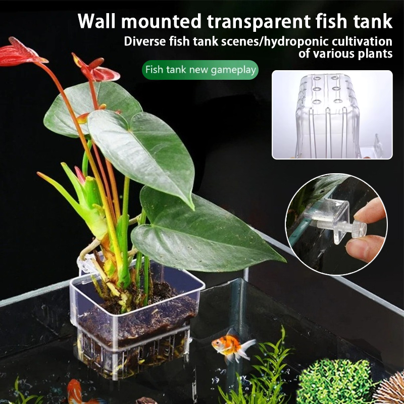 Aquarium Planted Wall - Macetas Colgantes para Acuario, Soporte de