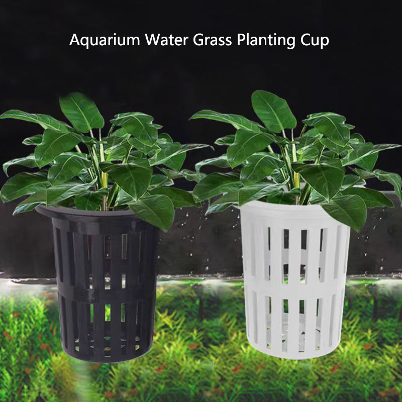 Aquarium Planted Wall - Cesta para plantas de acuario, macetero
