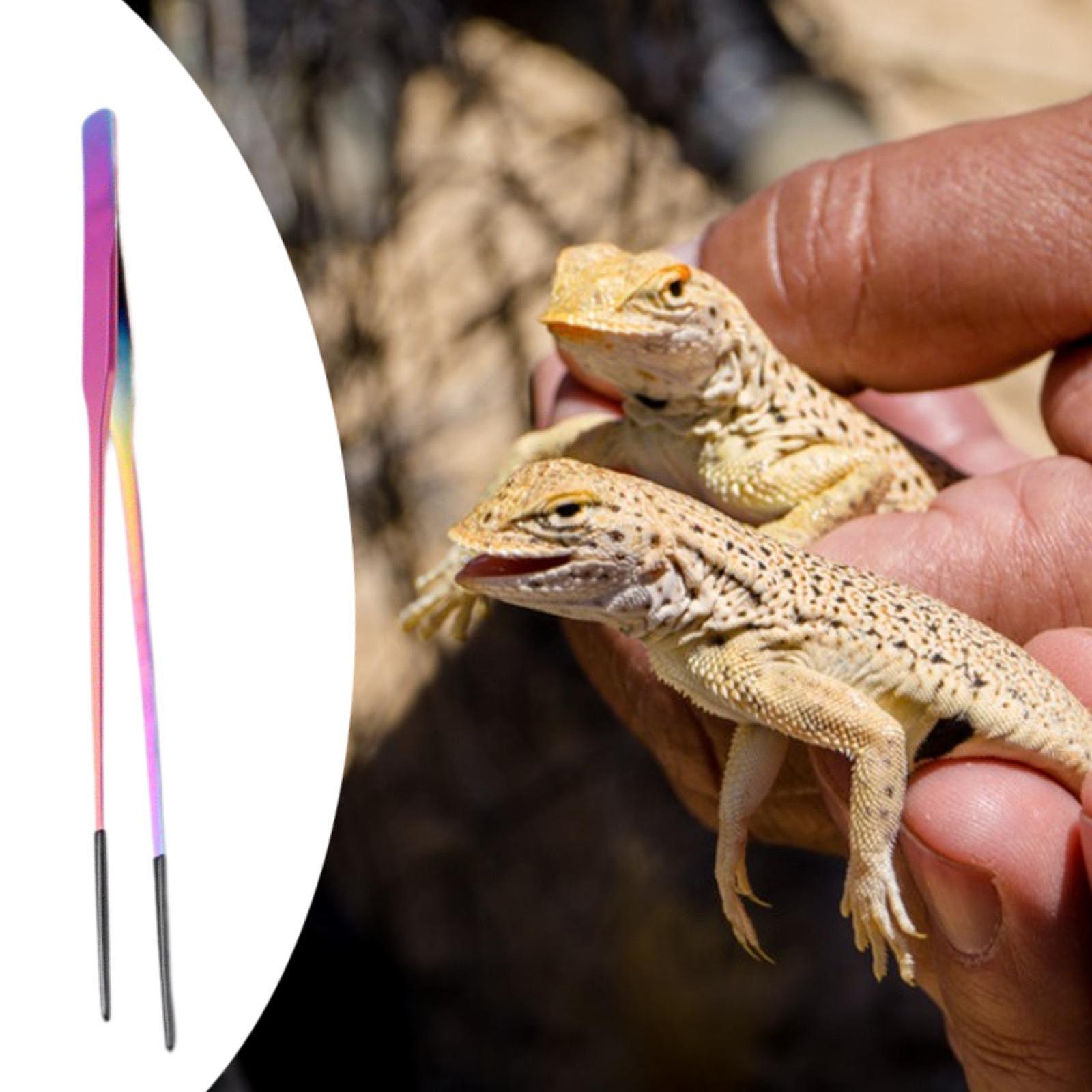 Planted Aquarium Tips - Pinzas para Alimentar Reptiles con Punta