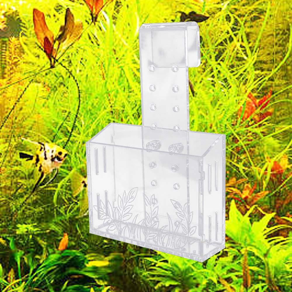 Maceta flotante transparente p - Aquarium Planted Wall reseña y precio