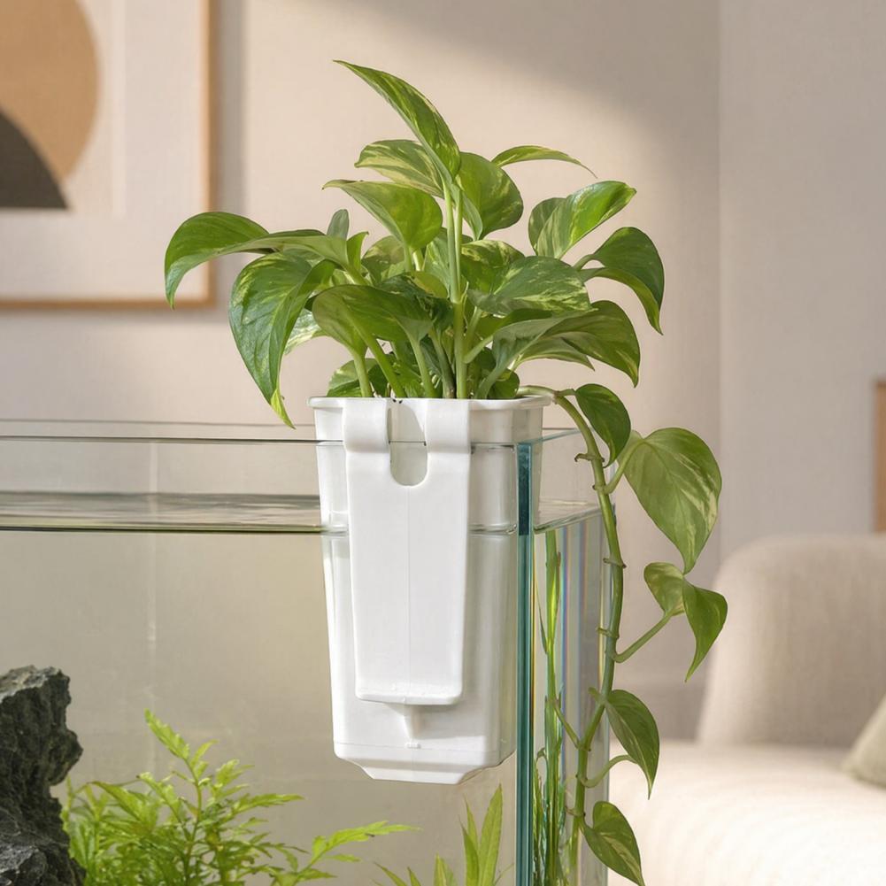 Maceta para Plantas Acuáticas, - Aquarium Planted Wall reseña y precio
