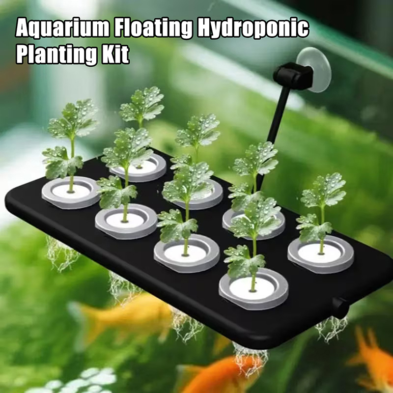 Nuevo Kit de Cultivo Hidropóni - Aquarium Planted Wall reseña y precio