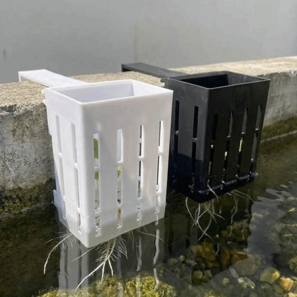 Maceta Colgante de Pared para  - Aquarium Planted Wall reseña y precio
