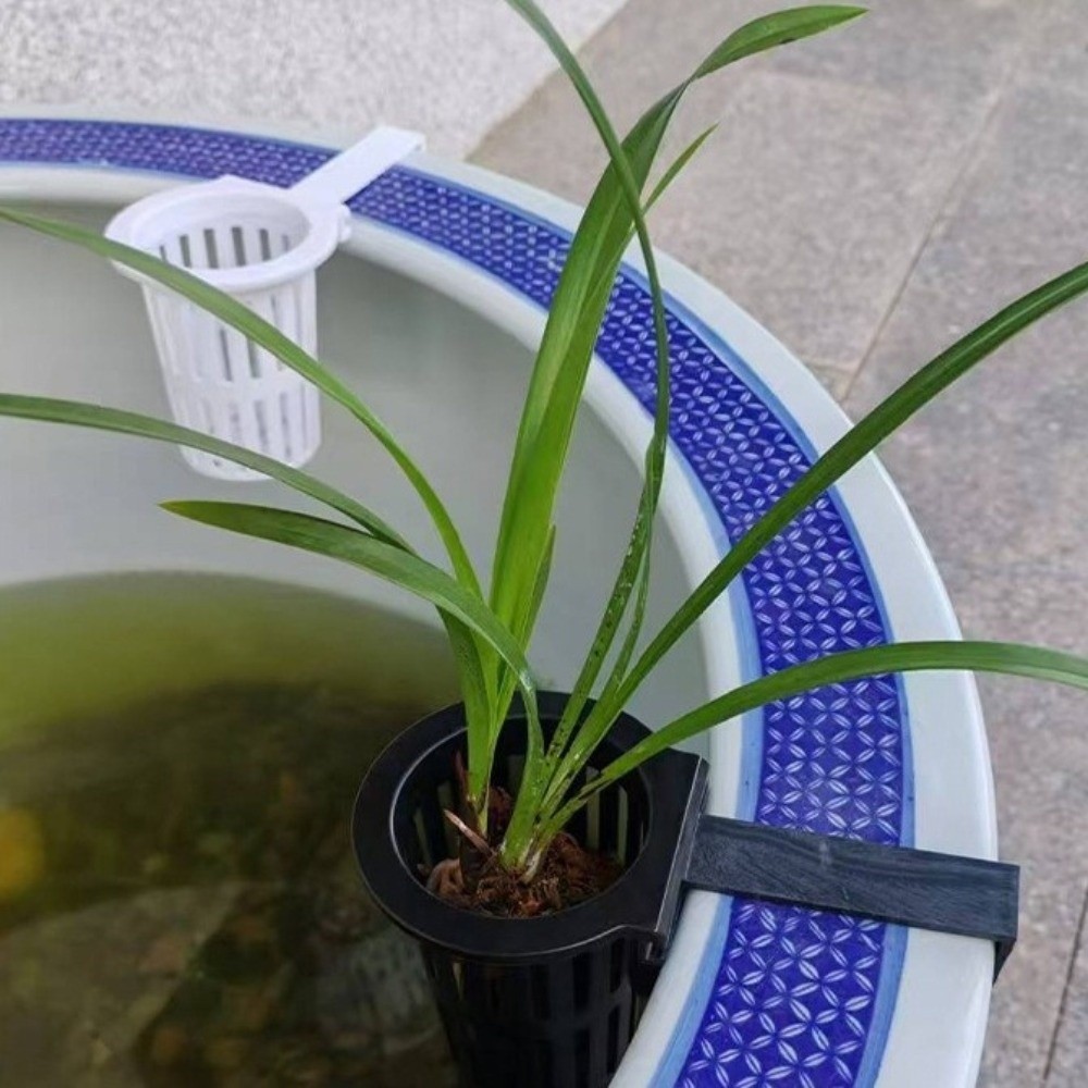 Maceta Colgante de Pared para  - Aquarium Planted Wall reseña y precio