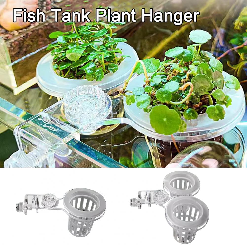 Soporte para plantas de acuari - Aquarium Planted Wall reseña y precio
