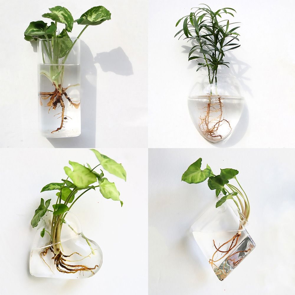 Florero colgante de pared con  - Aquarium Planted Wall reseña y precio