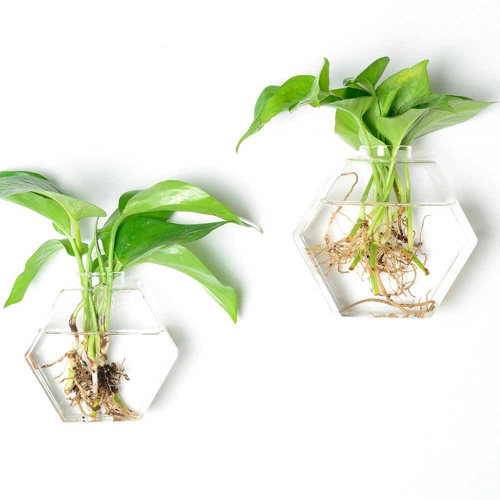Florero colgante de pared con  - Aquarium Planted Wall reseña y precio