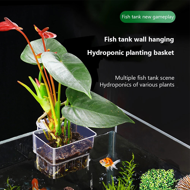 Nuevo Soporte Colgante para Pl - Aquarium Planted Wall reseña y precio