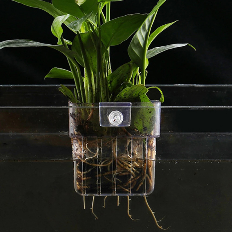 Nuevo Soporte Colgante para Pl - Aquarium Planted Wall reseña y precio