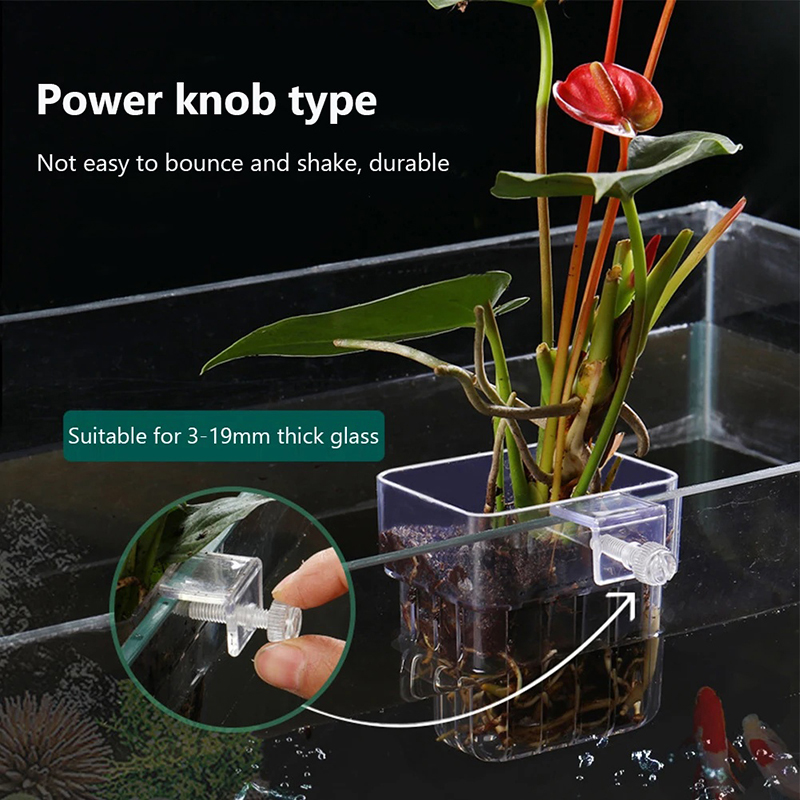 Nuevo Soporte Colgante para Pl - Aquarium Planted Wall reseña y precio