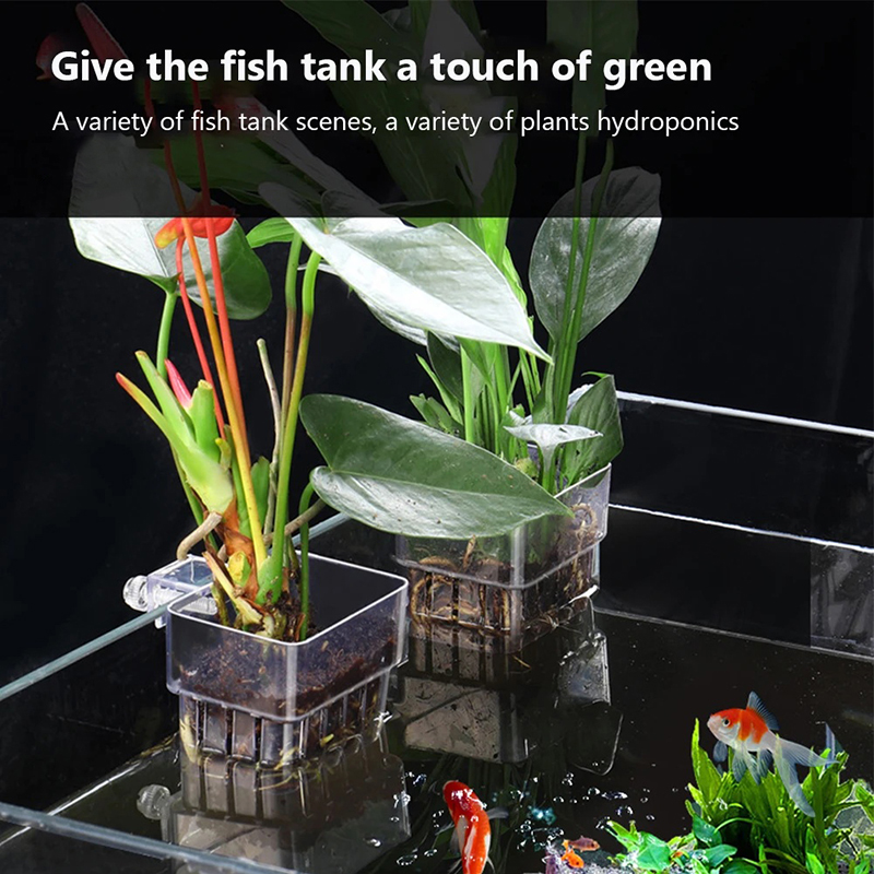 Nuevo Soporte Colgante para Pl - Aquarium Planted Wall reseña y precio