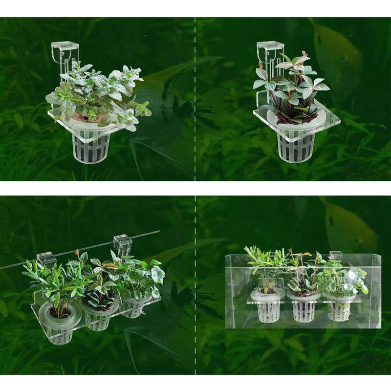 Tazas para plantar pecera, ces - Aquarium Planted Wall reseña y precio