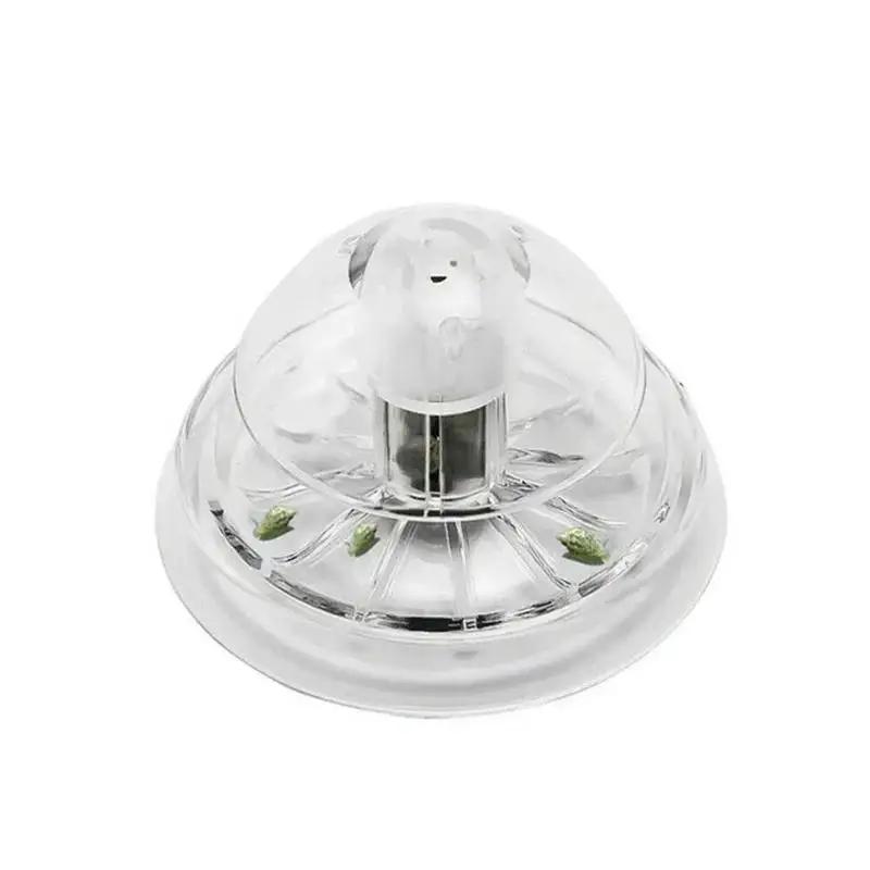 Nueva Trampa para Caracoles de - Aquarium For Planted Tank reseña y precio