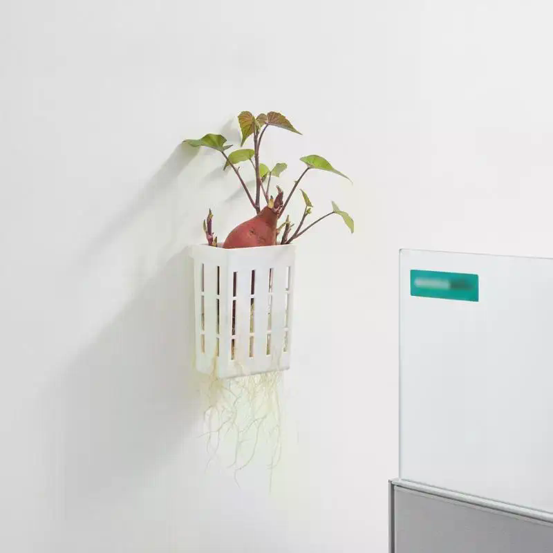 1 unidad de cesta de soporte h - Aquarium For Planted Tank reseña y precio