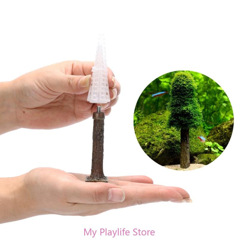 Soporte de plantas para pecera - Planted Aquarium Moss reseña y precio