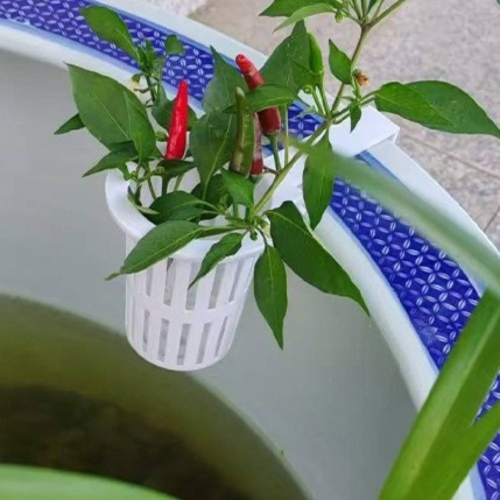 Maceta Colgante de Plástico pa - Aquarium Planted Wall reseña y precio