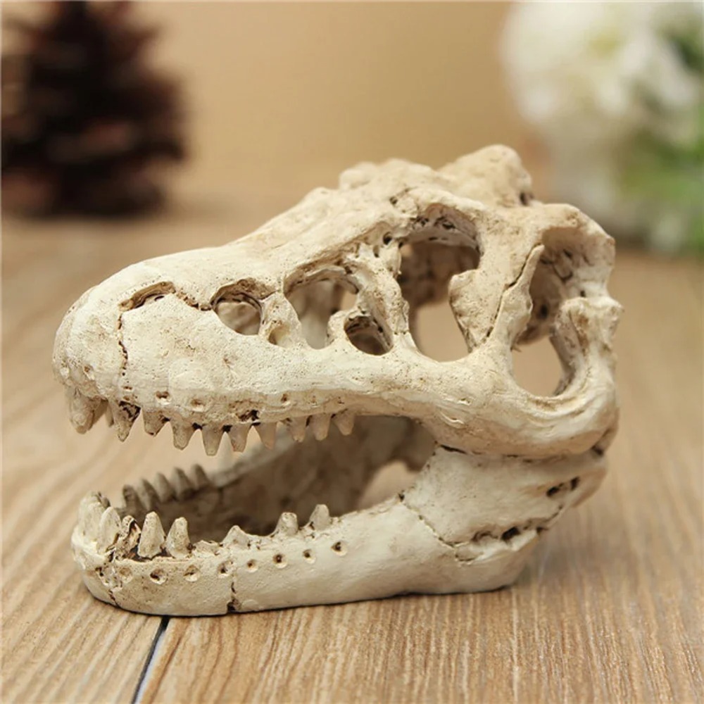 Modelo fósil de dinosaurio, pe - Aquarium Zombie reseña y precio