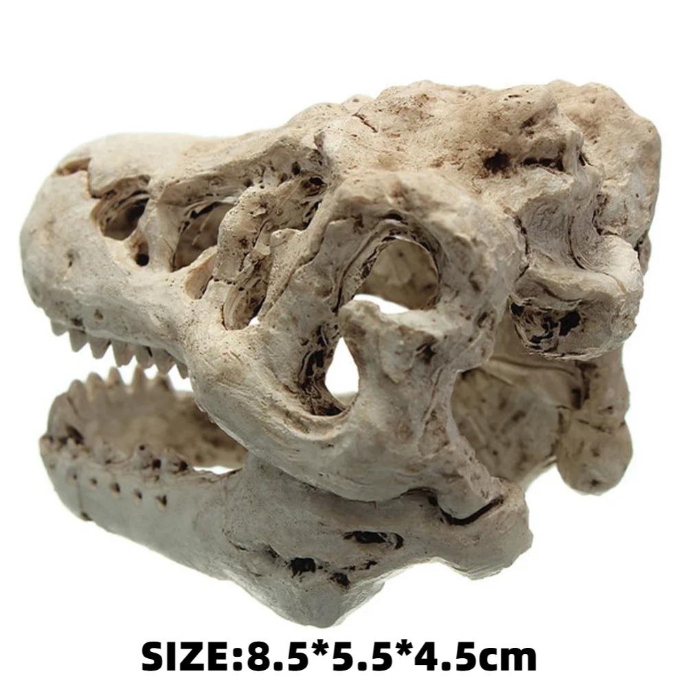 Modelo fósil de dinosaurio, pe - Aquarium Zombie reseña y precio