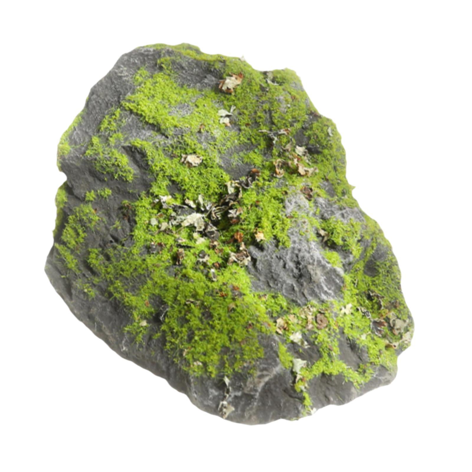 Piedra de musgo artificial rea - Planted Aquarium Moss reseña y precio