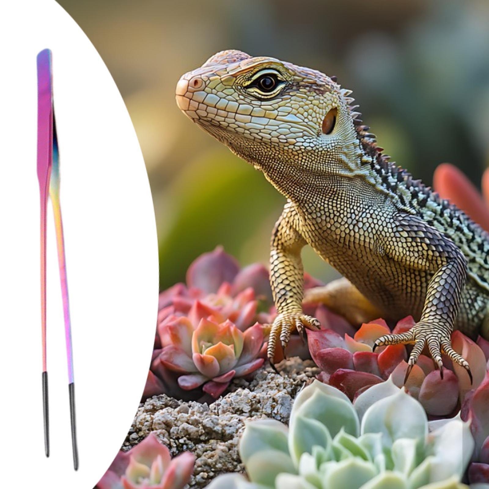 Pinzas para Alimentación de Re - Planted Aquarium Tips reseña y precio