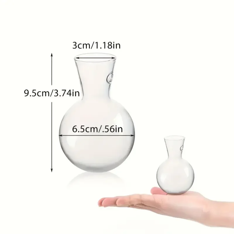 Jarrón de Pared Semicircular C - Aquarium Planted Wall reseña y precio