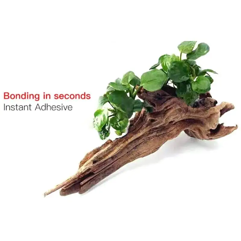 2/5 Unidades de Pegamento Tran - Planted Aquarium Moss reseña y precio