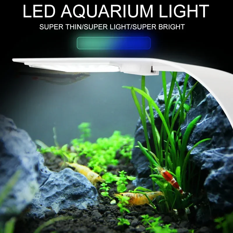 Luz LED Superfina para acuario - Planted Aquarium Pictures reseña y precio