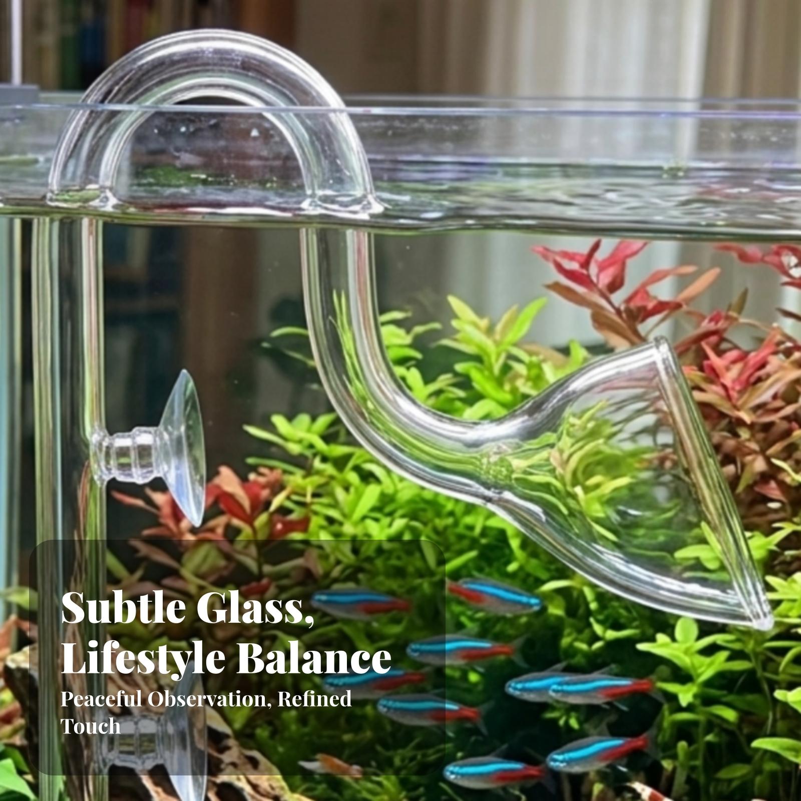 Conjunto de tubos Lily transpa - Aquarium For Planted Tank reseña y precio
