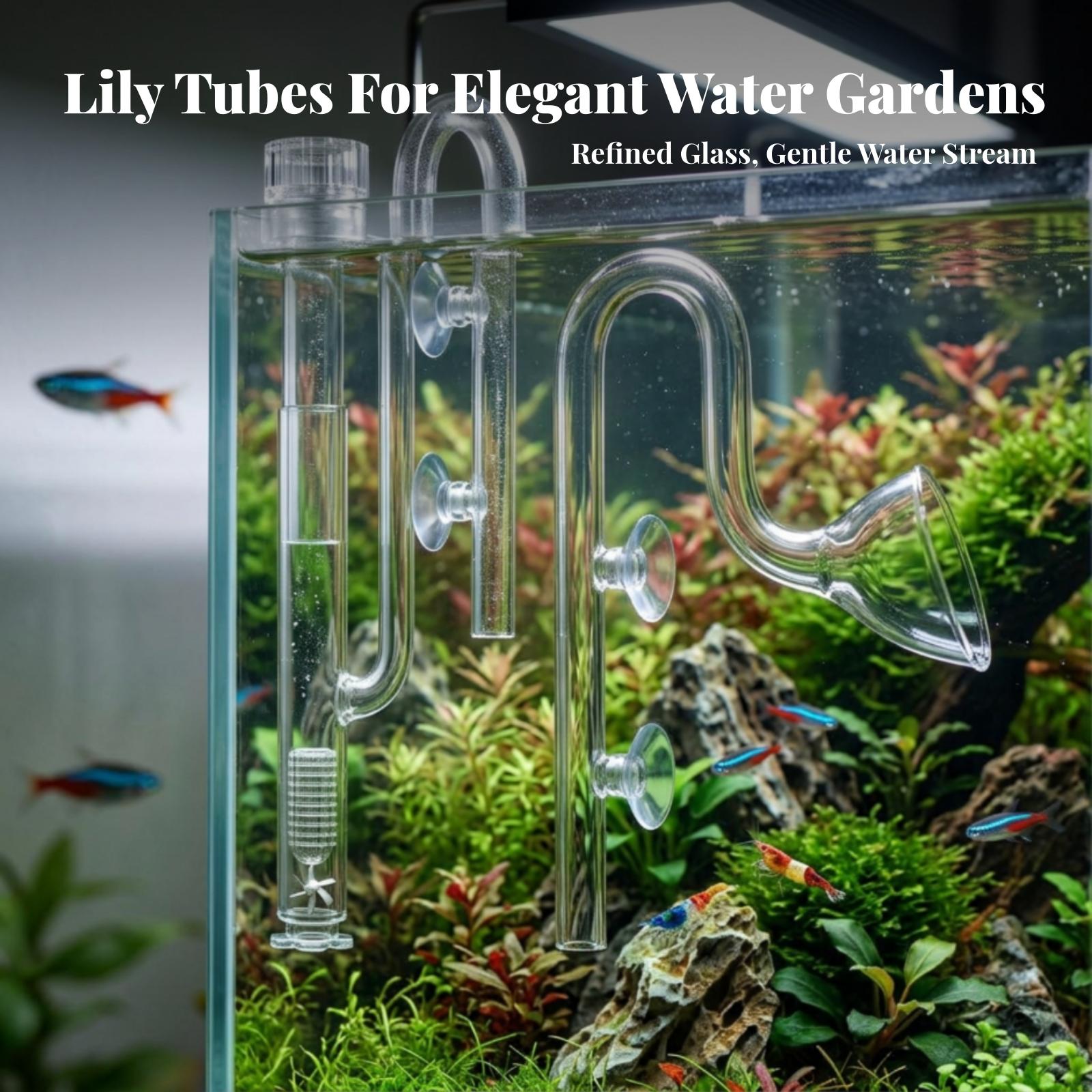 Conjunto de tubos Lily transpa - Aquarium For Planted Tank reseña y precio