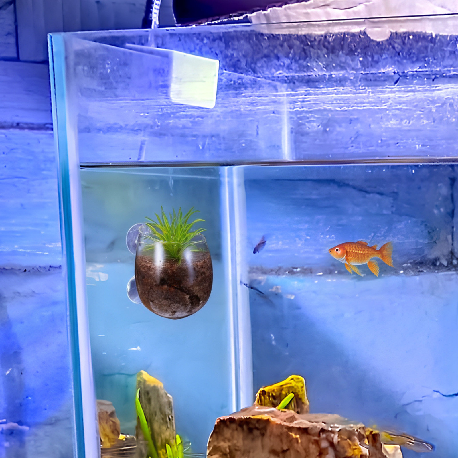 2 Vasos de Vidrio Transparente - Aquarium Planted Wall reseña y precio