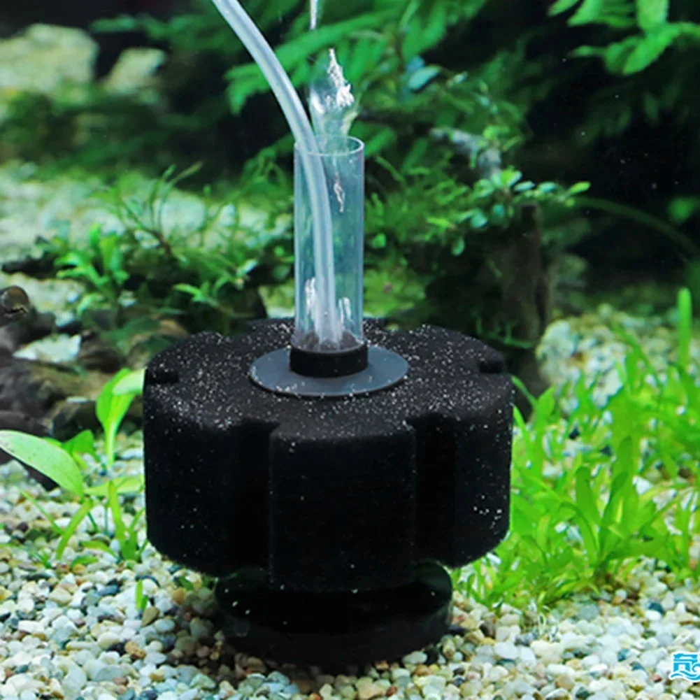 Esponja de filtro para acuario - Aquarium Planted Filter reseña y precio