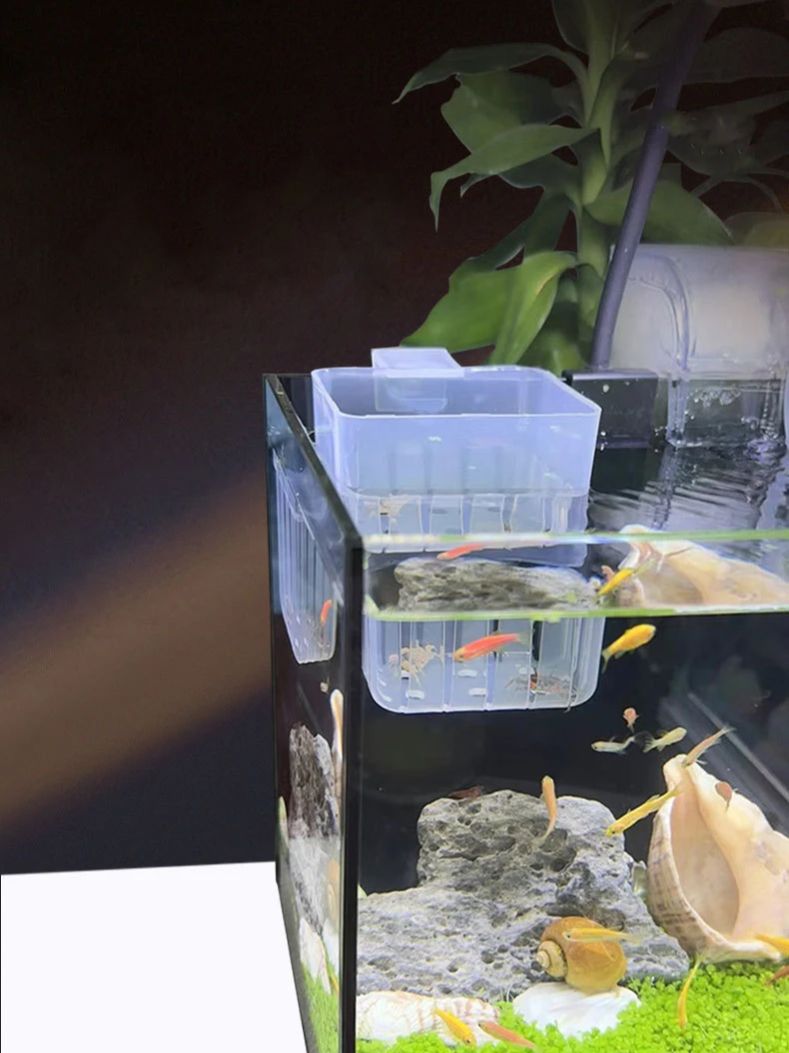 Cesta hidropónica transparente - Aquarium Planted Wall reseña y precio