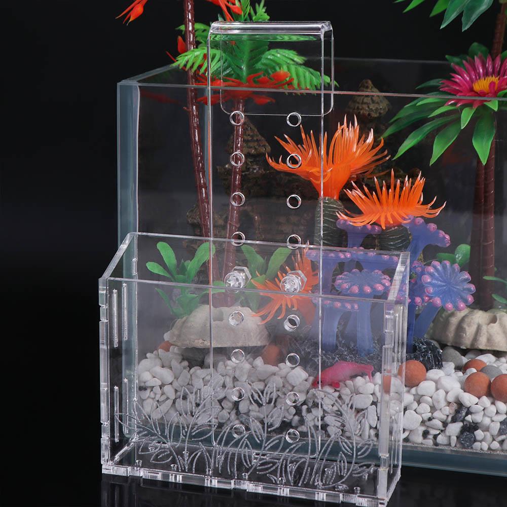 Maceta colgante de pared para  - Aquarium Planted Wall reseña y precio