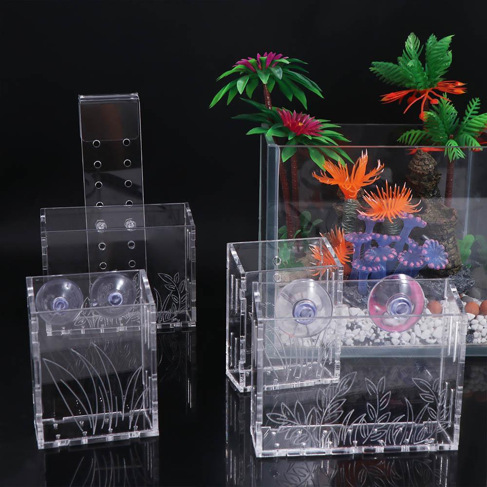 Maceta colgante de pared para  - Aquarium Planted Wall reseña y precio