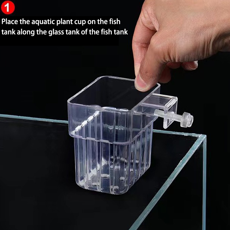 Taza de plantación de hierba d - Aquarium For Planted Tank reseña y precio