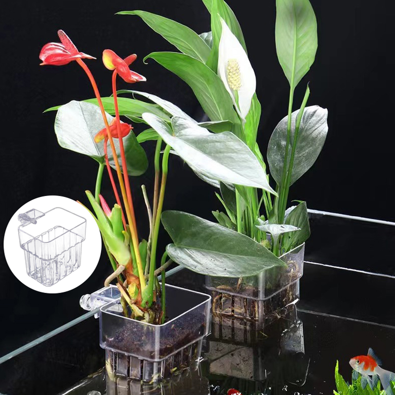 Taza de plantación de hierba d - Aquarium For Planted Tank reseña y precio