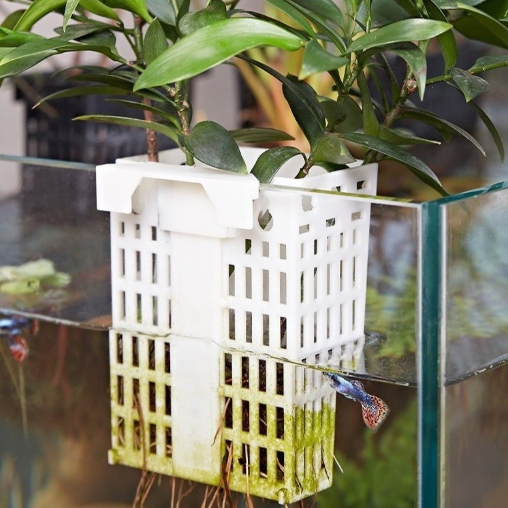 Soporte para Plantas Acuáticas - Aquarium Planted Wall reseña y precio