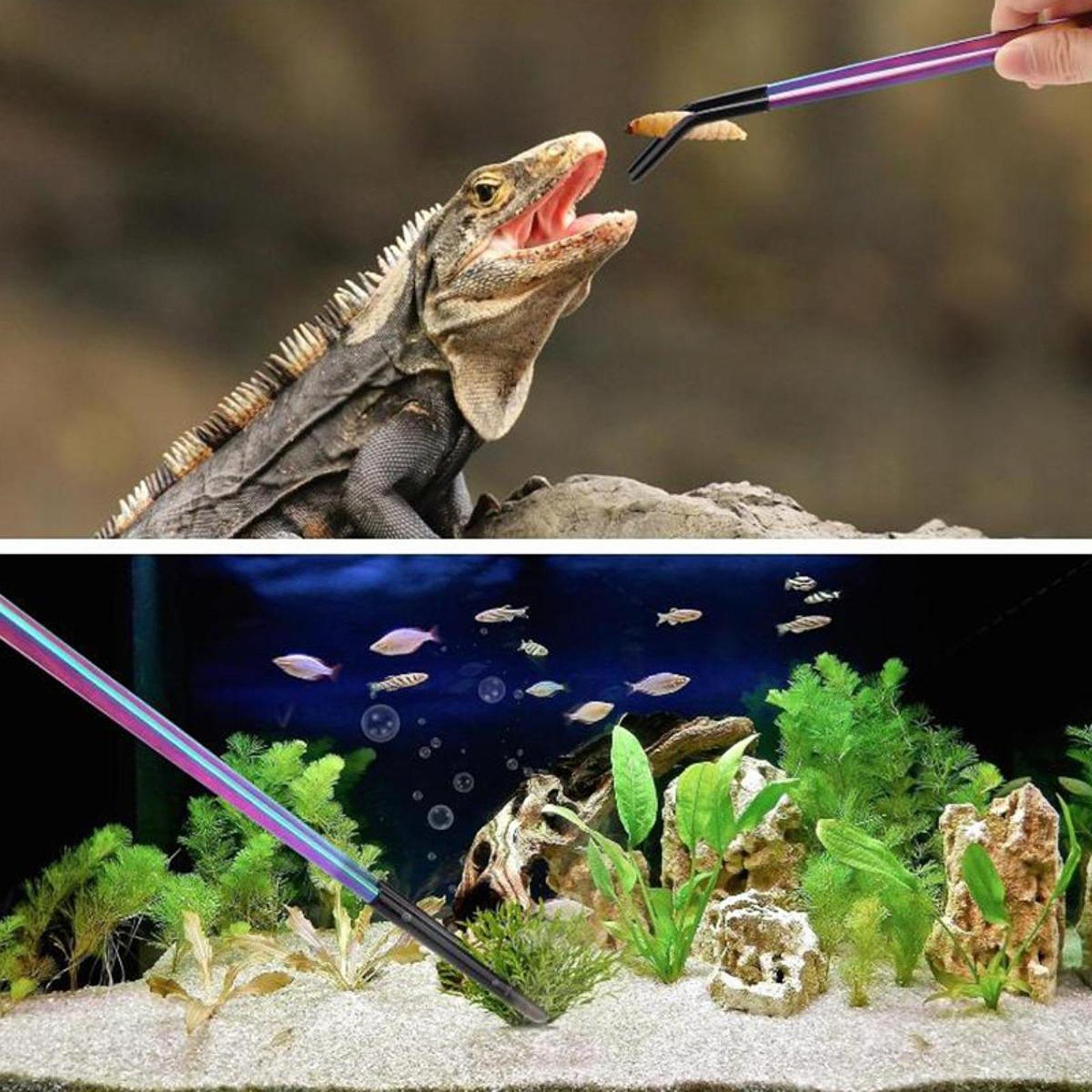 Pinzas para Alimentar Reptiles - Planted Aquarium Tips reseña y precio