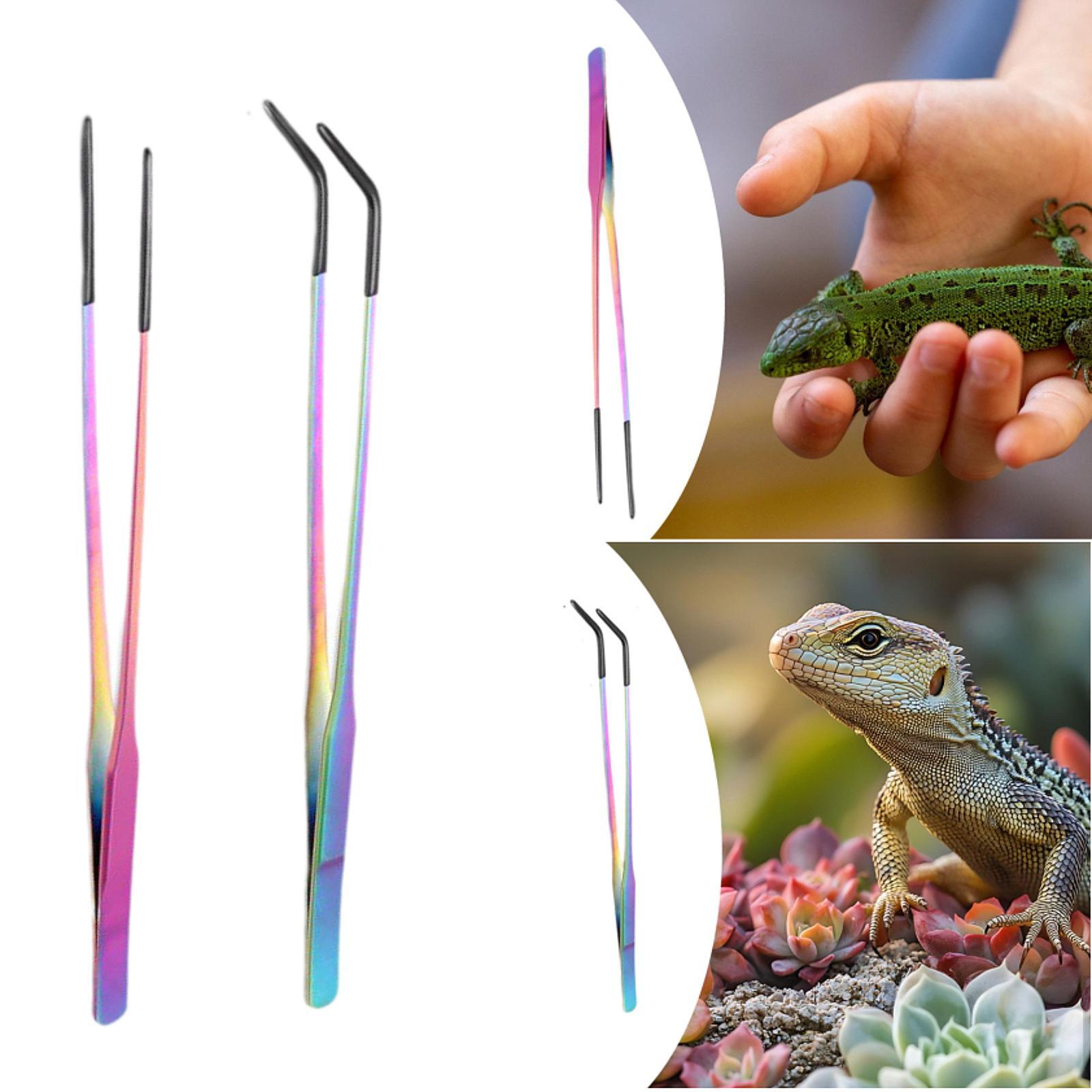 Pinzas para Alimentar Reptiles - Planted Aquarium Tips reseña y precio