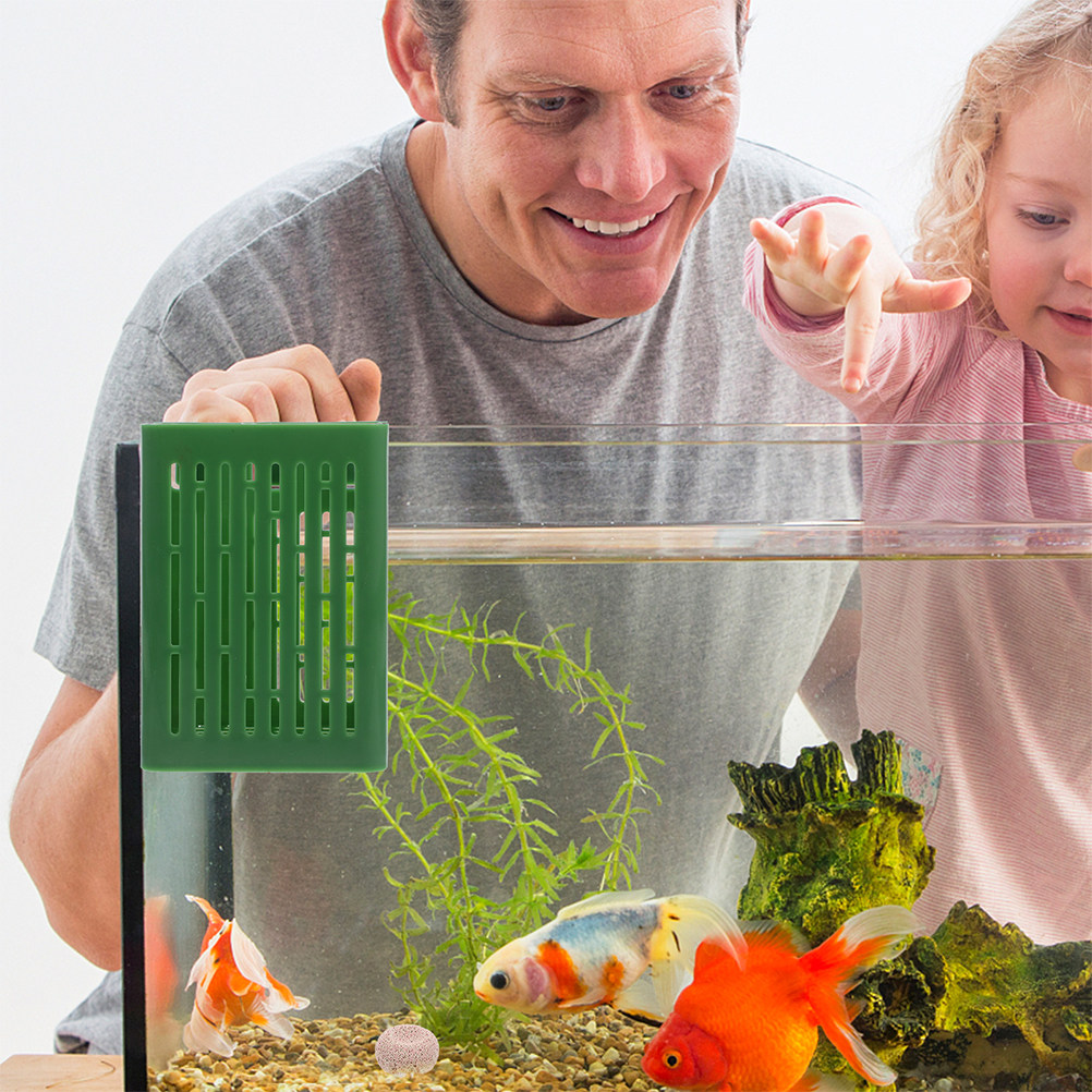 Maceta Colgante para Plantas d - Planted Aquarium Moss reseña y precio