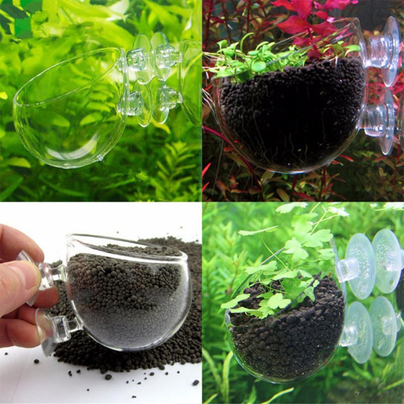 Maceta colgante para acuario,  - Planted Aquarium Moss reseña y precio