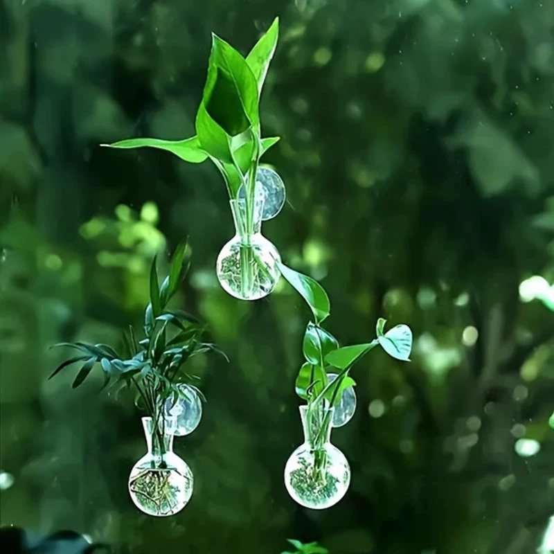 Florero montado en la pared de - Aquarium Planted Wall reseña y precio