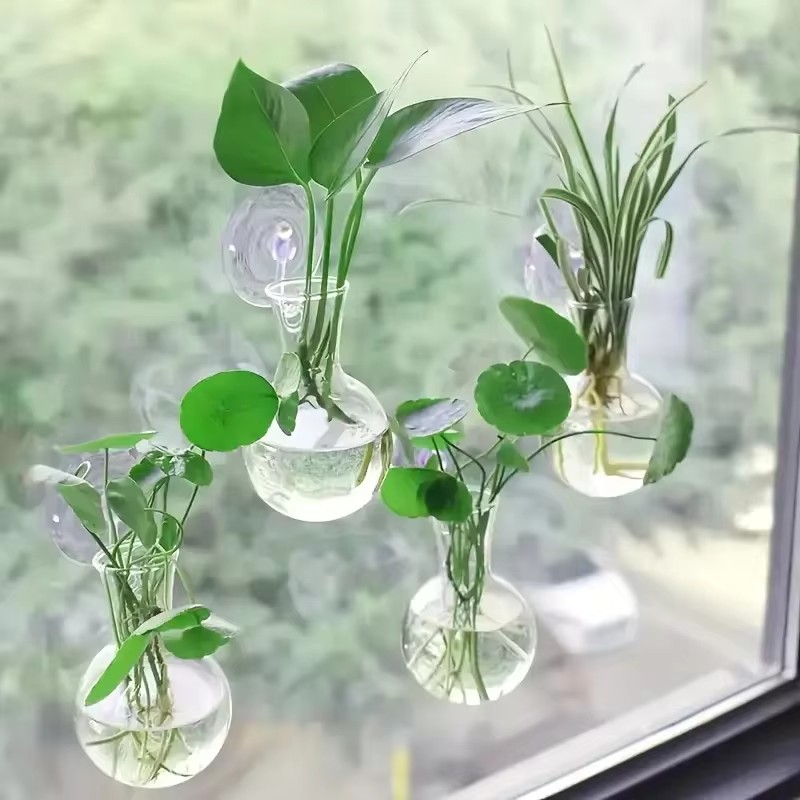 Florero montado en la pared de - Aquarium Planted Wall reseña y precio