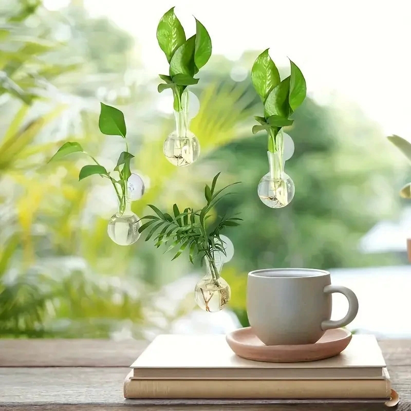 Florero montado en la pared de - Aquarium Planted Wall reseña y precio